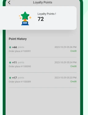 Reference interface: loyalty points and earning history; sample points