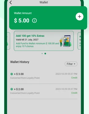 Reference interface: customer wallet and transaction history; sample balance